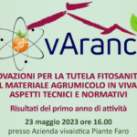 Novarancia – Risultati primo anno di attività