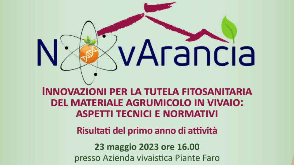 Novarancia – Risultati primo anno di attività