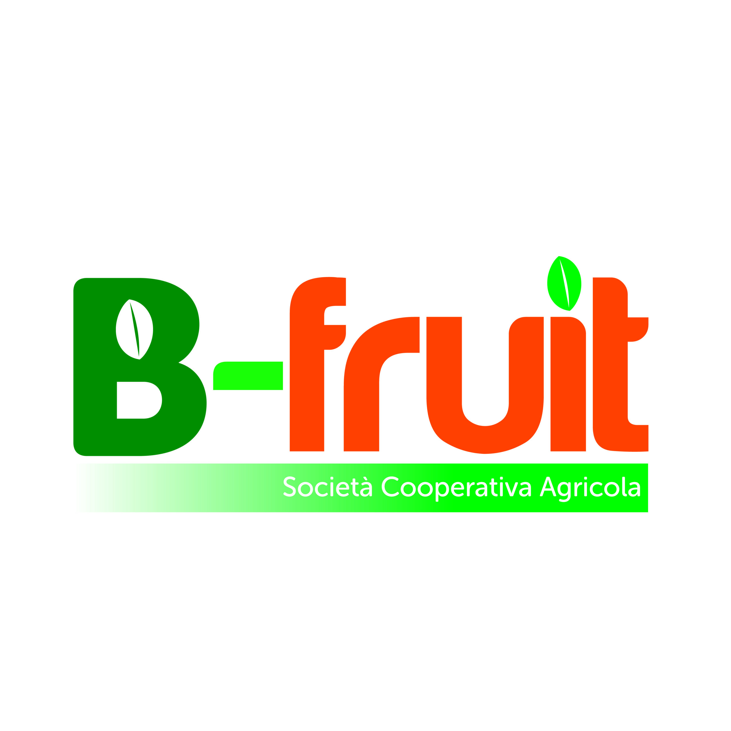 Logo B-fruit