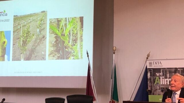 NovArancia presente al convegno “Le sfide dell’agricoltura del futuro” organizzato dall’Accademia dei Georgofili