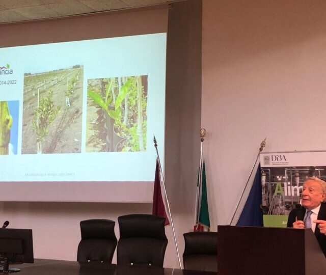 NovArancia presente al convegno “Le sfide dell’agricoltura del futuro” organizzato dall’Accademia dei Georgofili