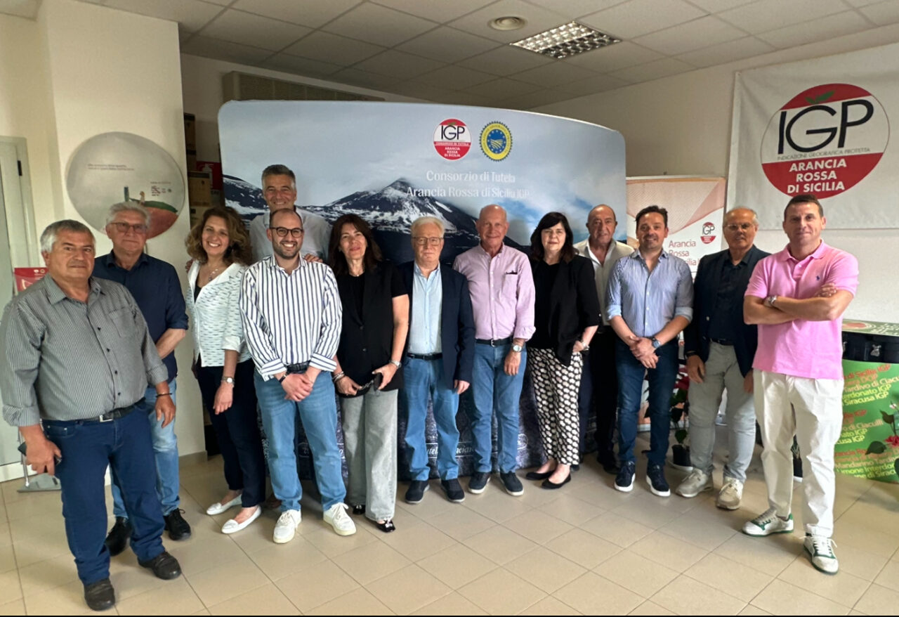 Agrumicoltura | Gerardo Diana confermato presidente del Consorzio Arancia Rossa di Sicilia IGP per il triennio 2024-2027