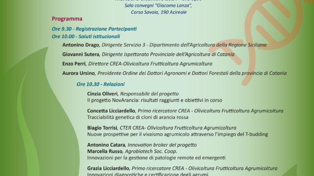 Innovazione e agrumicoltura sostenibile: incontro a Acireale