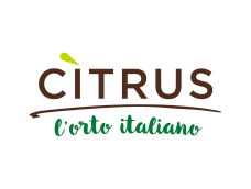 citricus