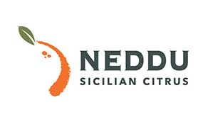 neddu-logo